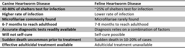 A graphic showing a list highlighting some of the differences between canine and feline heartworm disease